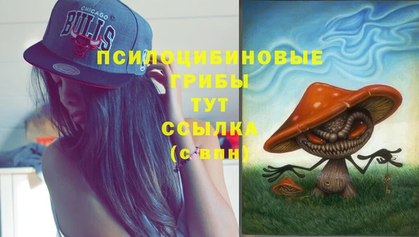 стаф Верея